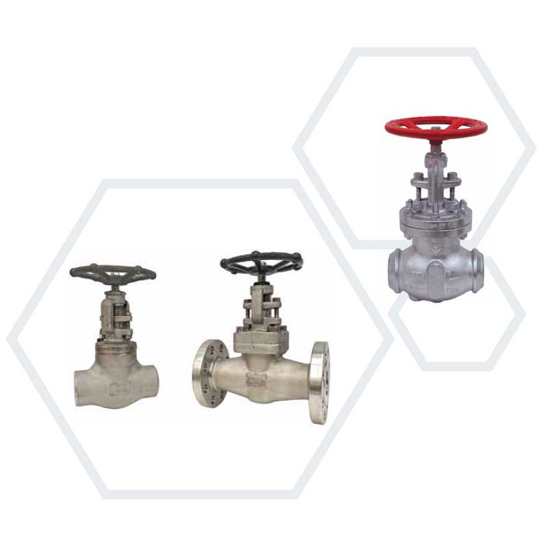 Globe Valves
